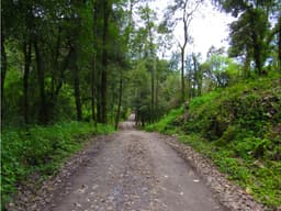 RANCHO SAN SIMÓN