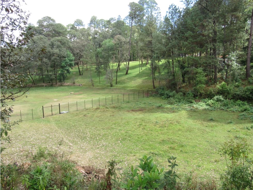 RANCHO RODEADO DE BOSQUE CON MANANTIAL — foto 4