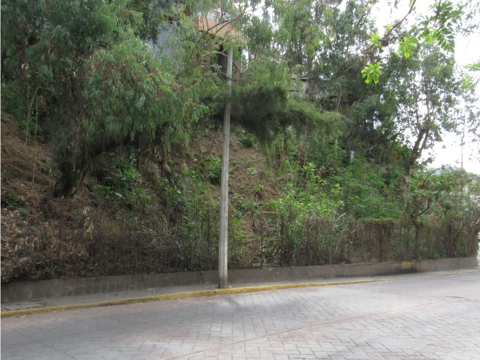 TERRENO LA COSTERA — foto 1