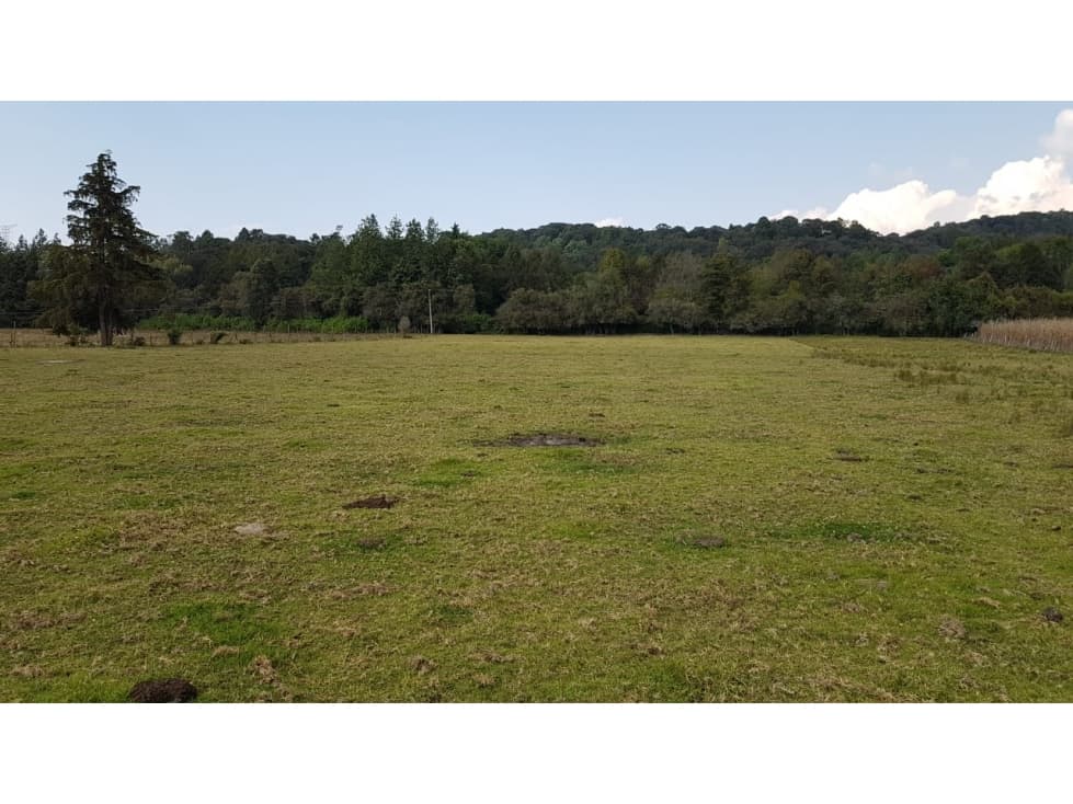 RANCHO DE 5 HTS, VALLE SANTANA — foto 6