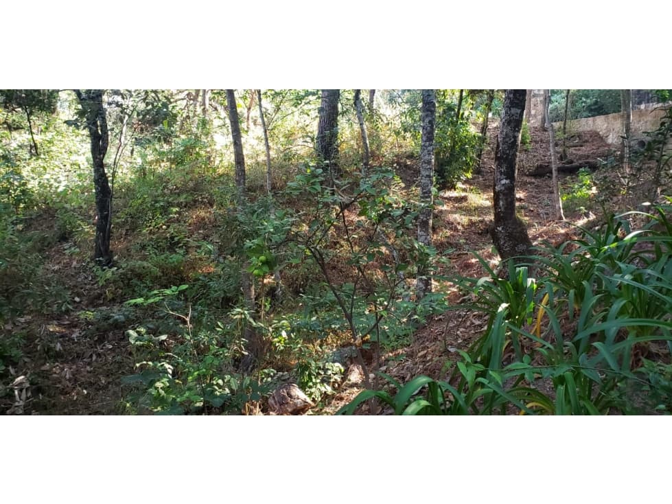TERRENO EN MONTE ALTO — foto 5