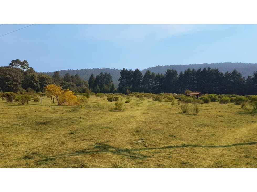 TERRENO CON MANANTIAL — foto 1