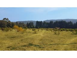 TERRENO CON MANANTIAL
