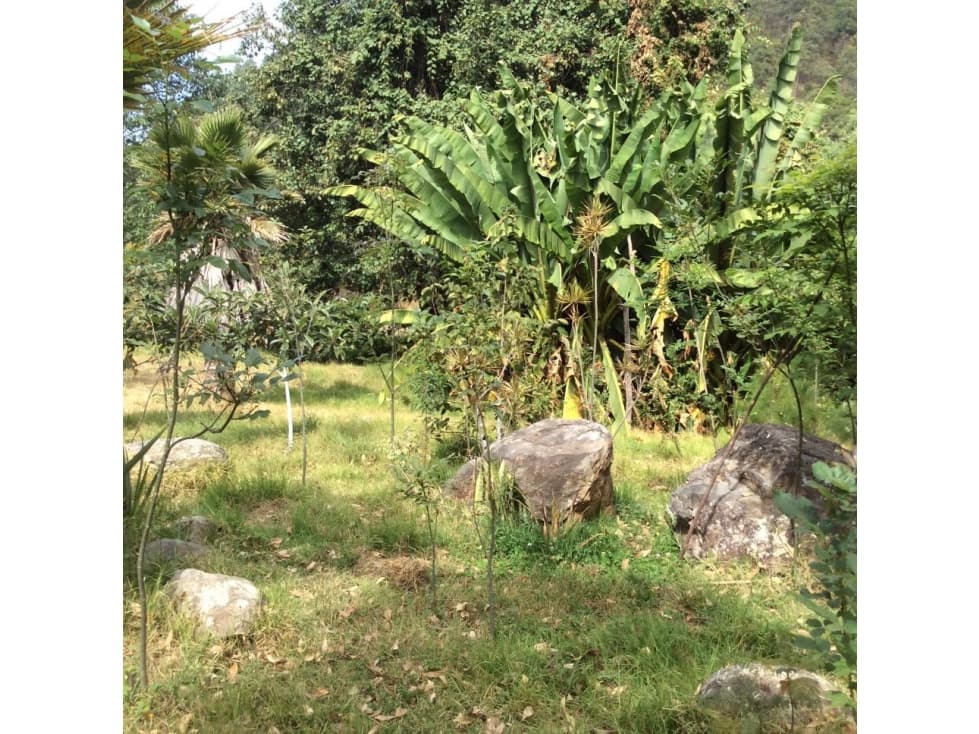 TERRENO CON ABUNDANTE AGUA — foto 4