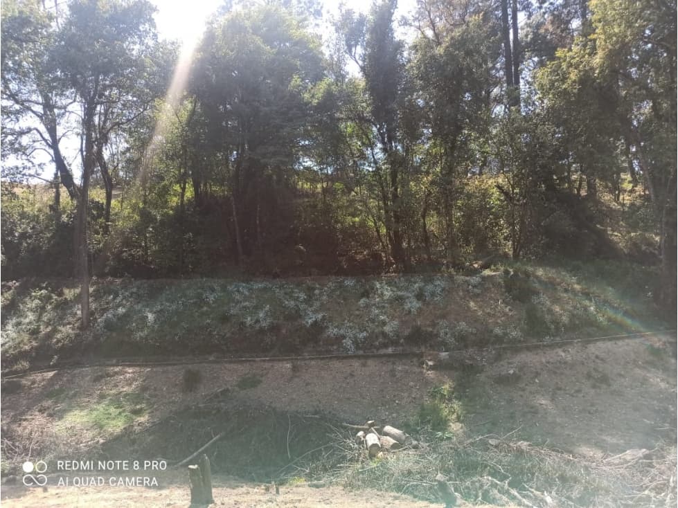 GRAN RANCHO EN REMATE — foto 4