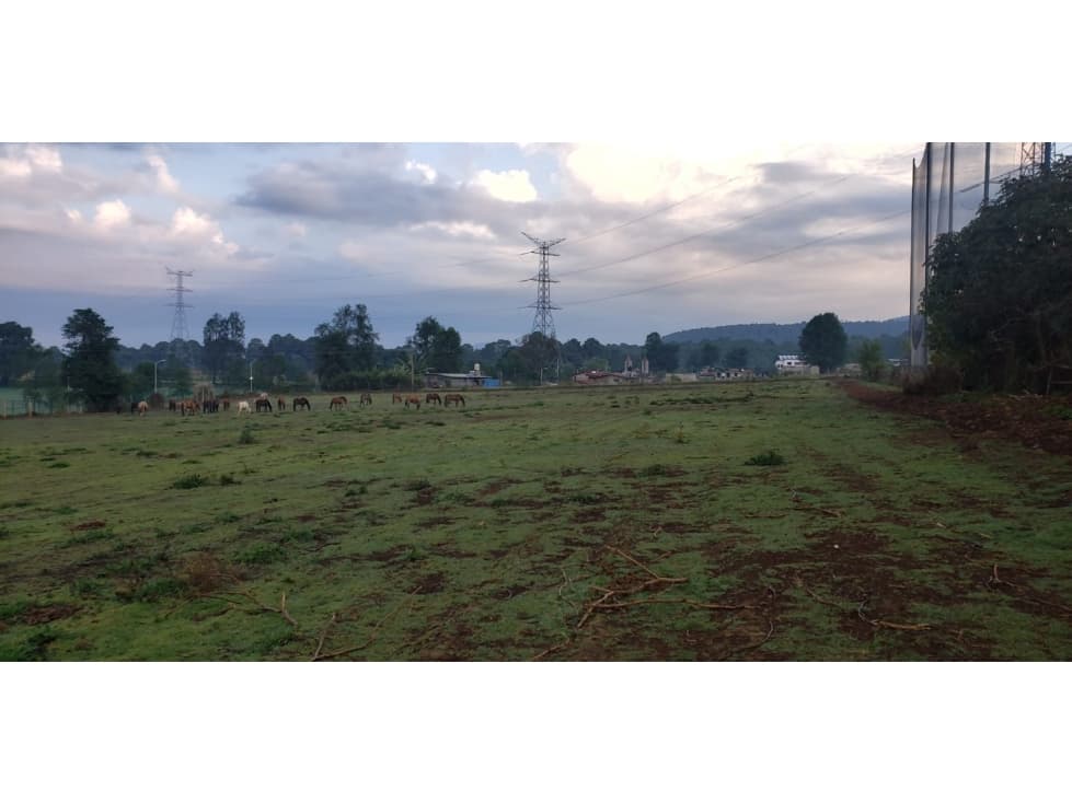 TERRENO EN SAN SIMÓN — foto 3