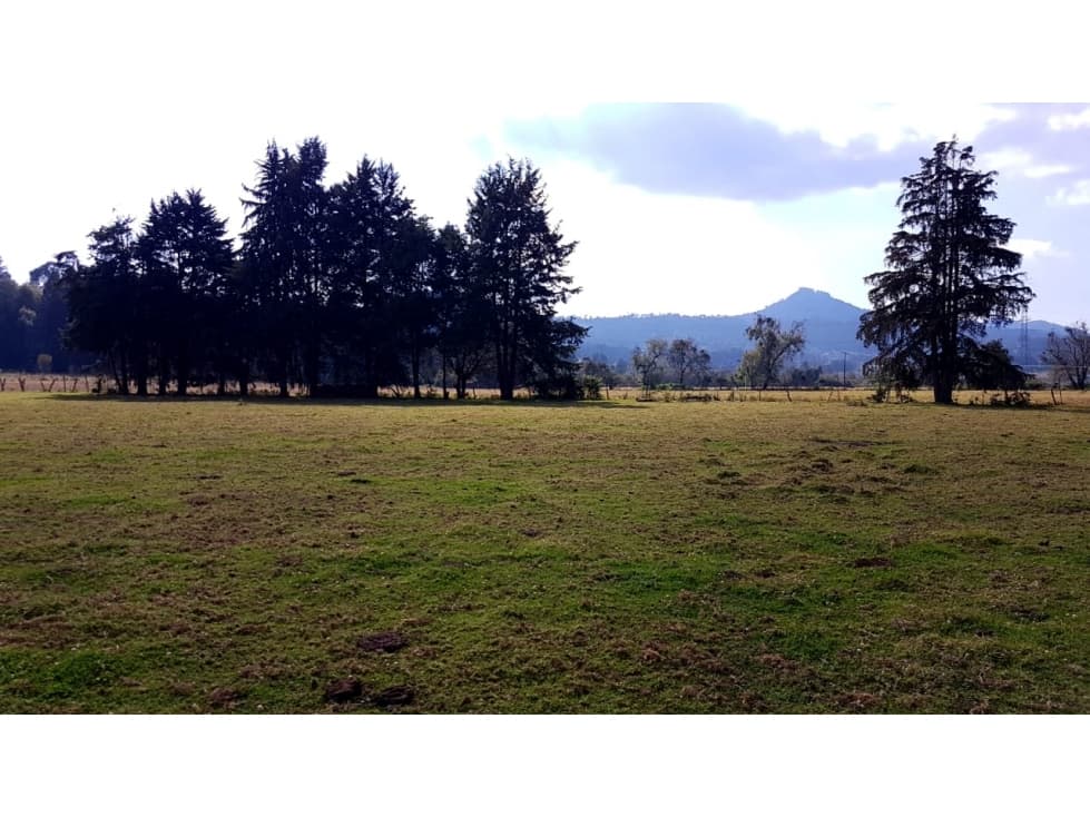 RANCHO DE 5 HTS, VALLE SANTANA — foto 4