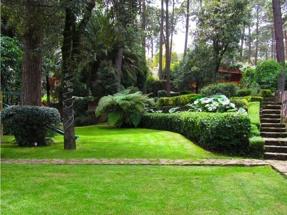 CASA CON BOSQUE PRIVADO EN AVANDARO — foto 1