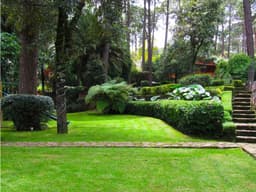CASA CON BOSQUE PRIVADO EN AVANDARO