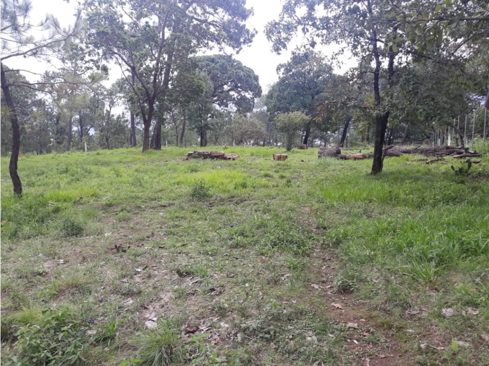 TERRENO CON BOSQUE EN PINARES DEL LAGO — foto 2