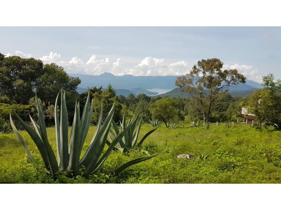 ESPECTACULAR TERRENO VISTA AL LAGO — foto 5