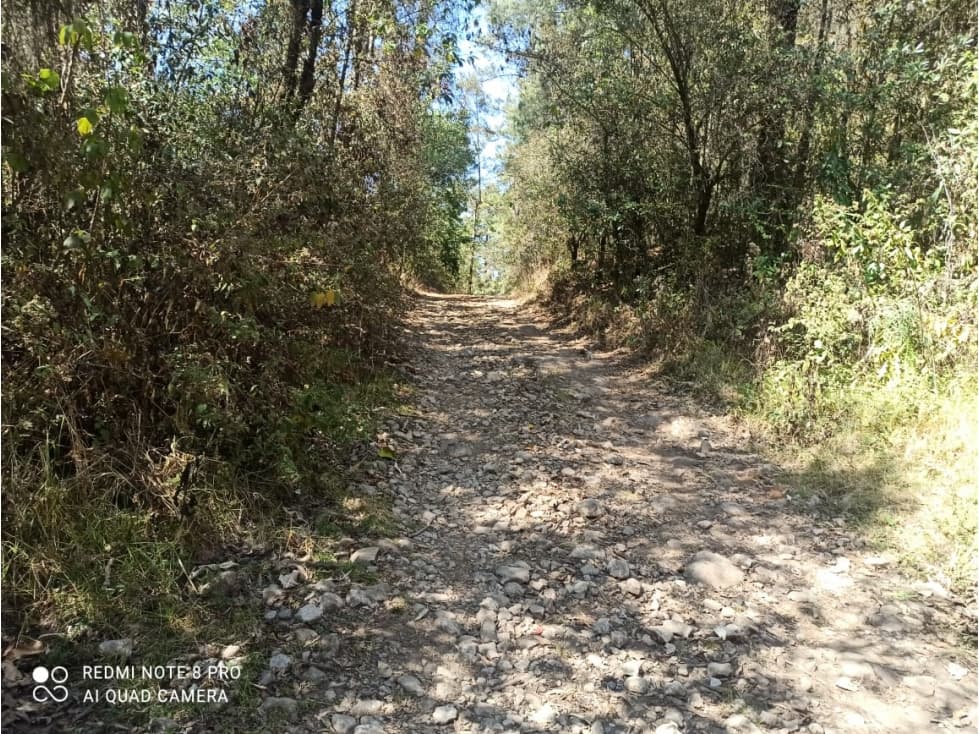 GRAN RANCHO EN REMATE — foto 5