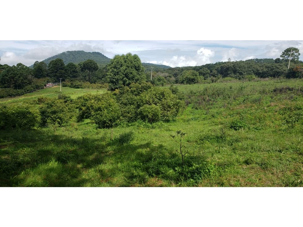 EL MANZANO — foto 5