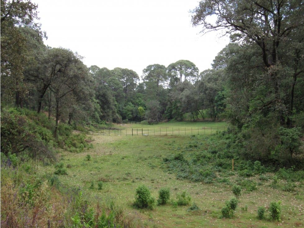 RANCHO RODEADO DE BOSQUE CON MANANTIAL — foto 6