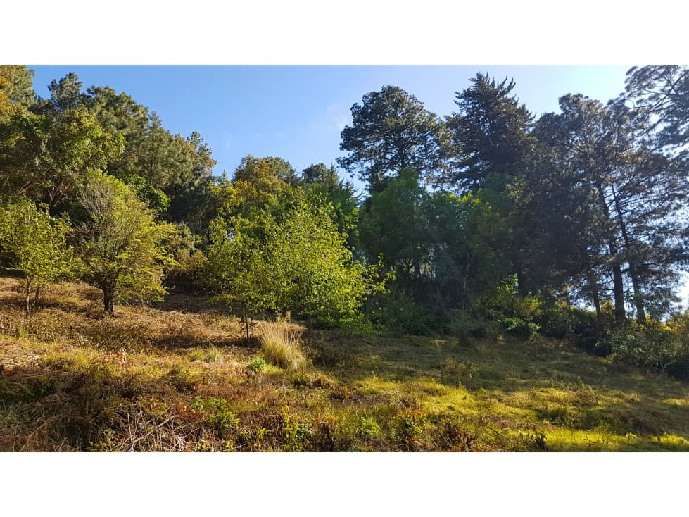 TERRENO CON BOSQUE EN VALLE DE BRAVO — foto 5