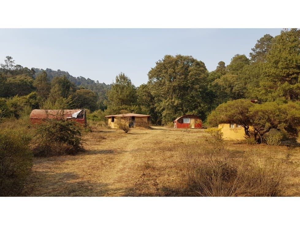 TERRENO CON MANANTIAL — foto 4