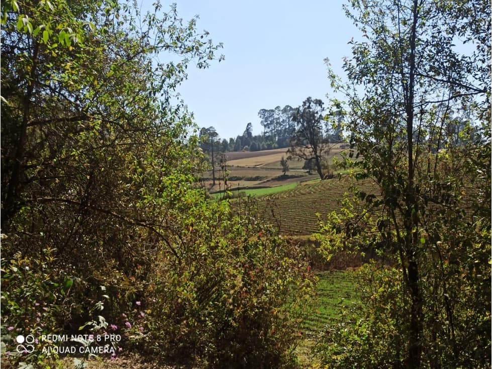 GRAN RANCHO EN REMATE — foto 6