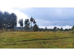 TERRENO EN LAS MESAS