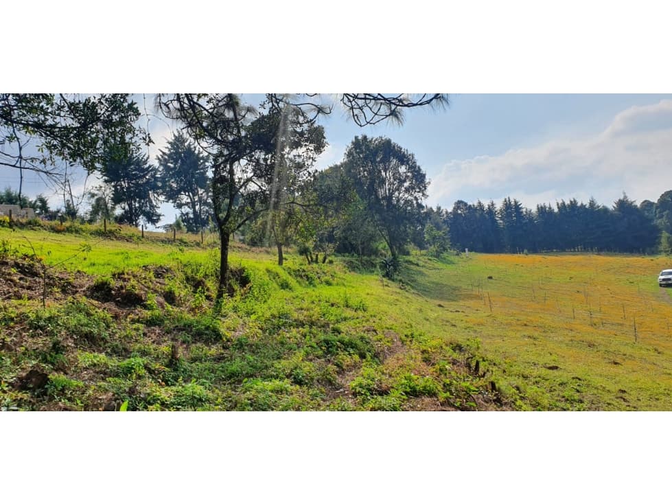 TERRENO EL CASTELLANO — foto 1