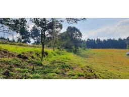 TERRENO EL CASTELLANO