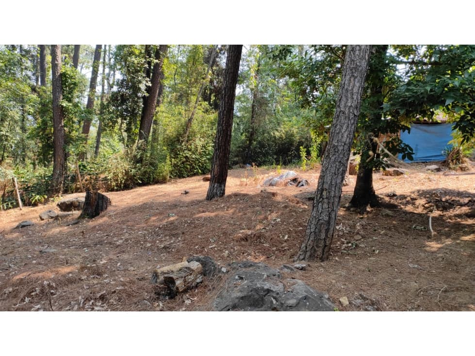 TERRENO EN AVÁNDARO — foto 2