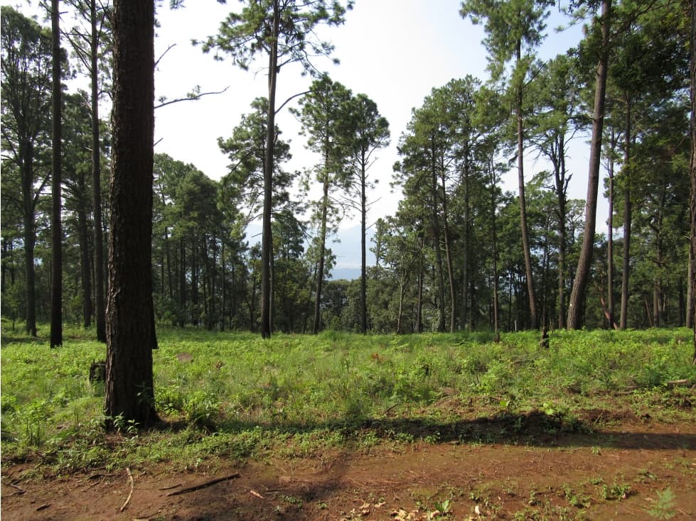 TERRENO CON EXCELENTE VISTA — foto 6