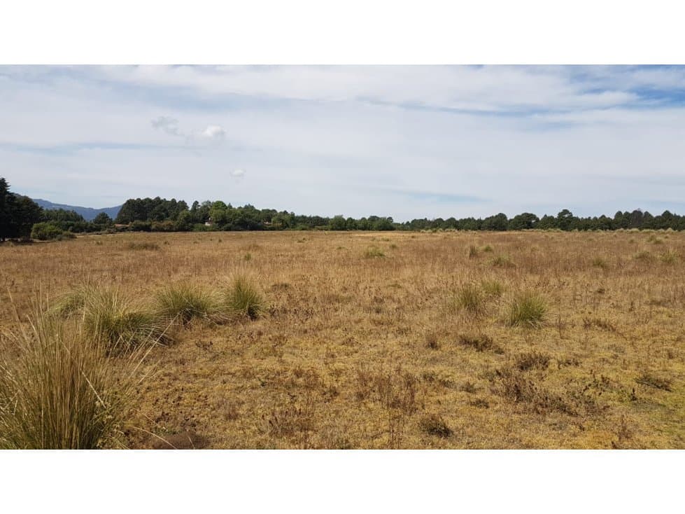 TERRENO AMPLIO RODEADO DE BOSQUE — foto 5