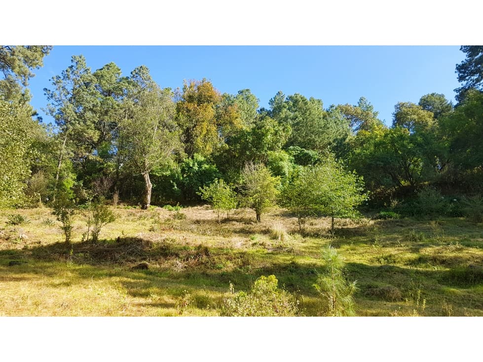 TERRENO CON BOSQUE EN VALLE DE BRAVO — foto 6