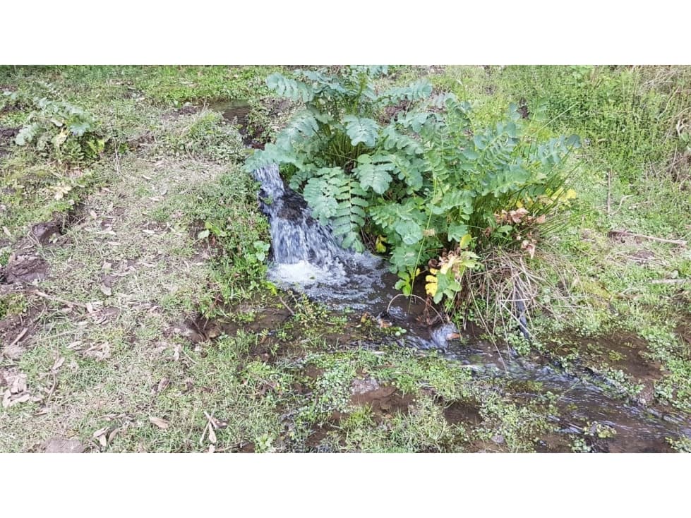 TERRENO CON MANANTIAL — foto 6