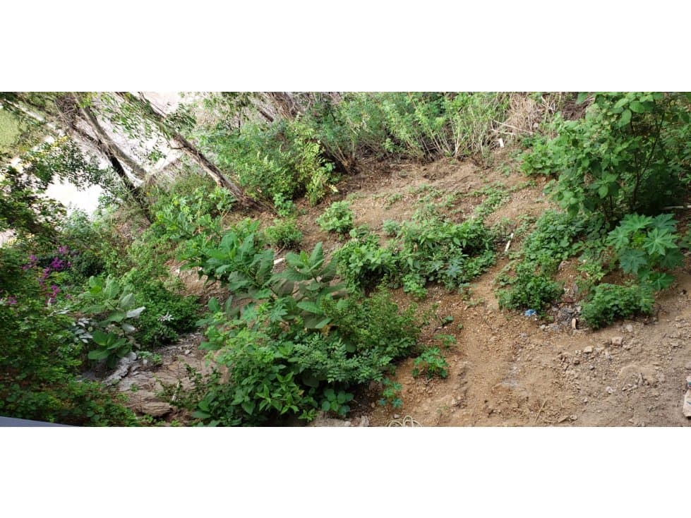 TERRENO LA COSTERA — foto 4
