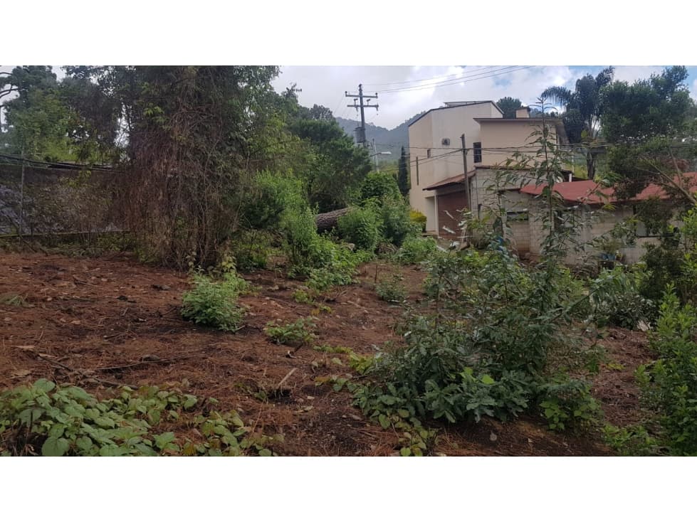 TERRENO EN CIRCUITO AVÁNDARO — foto 5