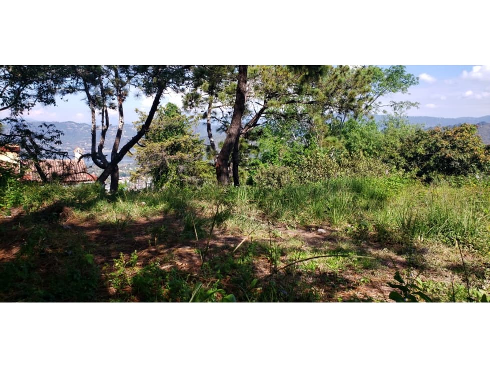 TERRENO PARA DESARROLLAR CON VISTA AL LAGO — foto 6