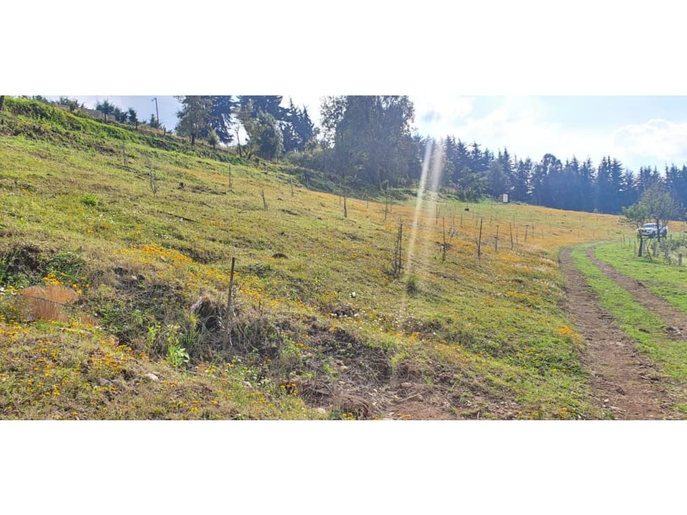 TERRENO EL CASTELLANO — foto 4