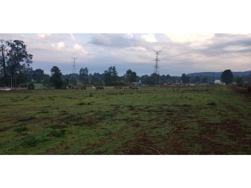 TERRENO EN SAN SIMÓN — foto 6