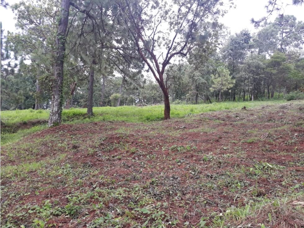 TERRENO CON BOSQUE EN PINARES DEL LAGO — foto 1