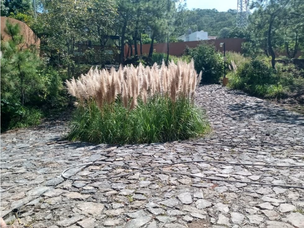 TERRENOS CONDOMINIO AZUL — foto 1