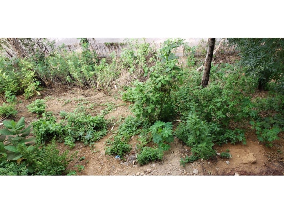TERRENO LA COSTERA — foto 2