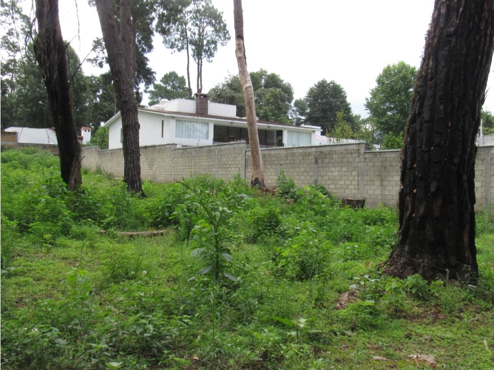 TERRENO EN EL CENTRO DE AVANDARO — foto 6