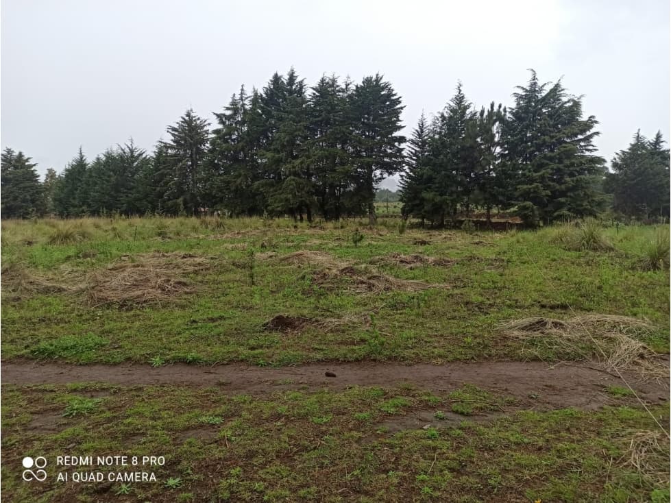TERRENO EN LAS MESAS — foto 5