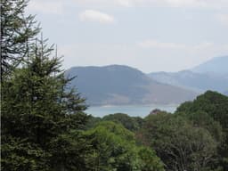 TERRENO EN AVANDARO CON VISTA AL LAGO