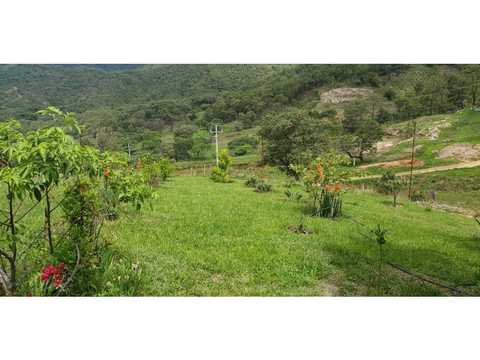 EXCEPCIONAL TERRENO EN LAS MONTAÑAS — foto 5