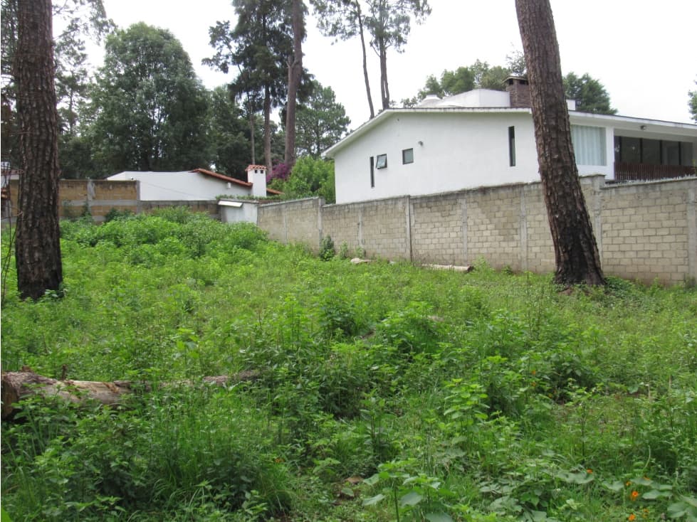 TERRENO EN EL CENTRO DE AVANDARO — foto 4