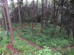 TERRENO PARA DESARROLLAR