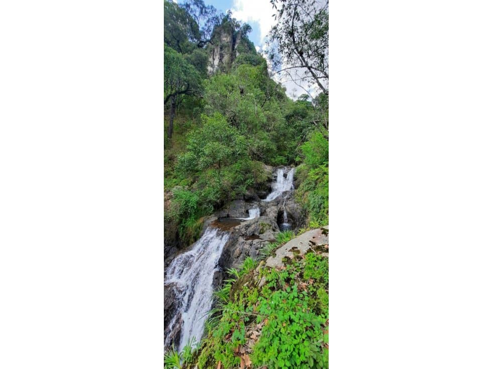 "LAGUNA NEGRA" VALLE DE BRAVO — foto 3