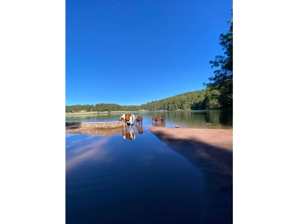 "LAGUNA NEGRA" VALLE DE BRAVO — foto 5