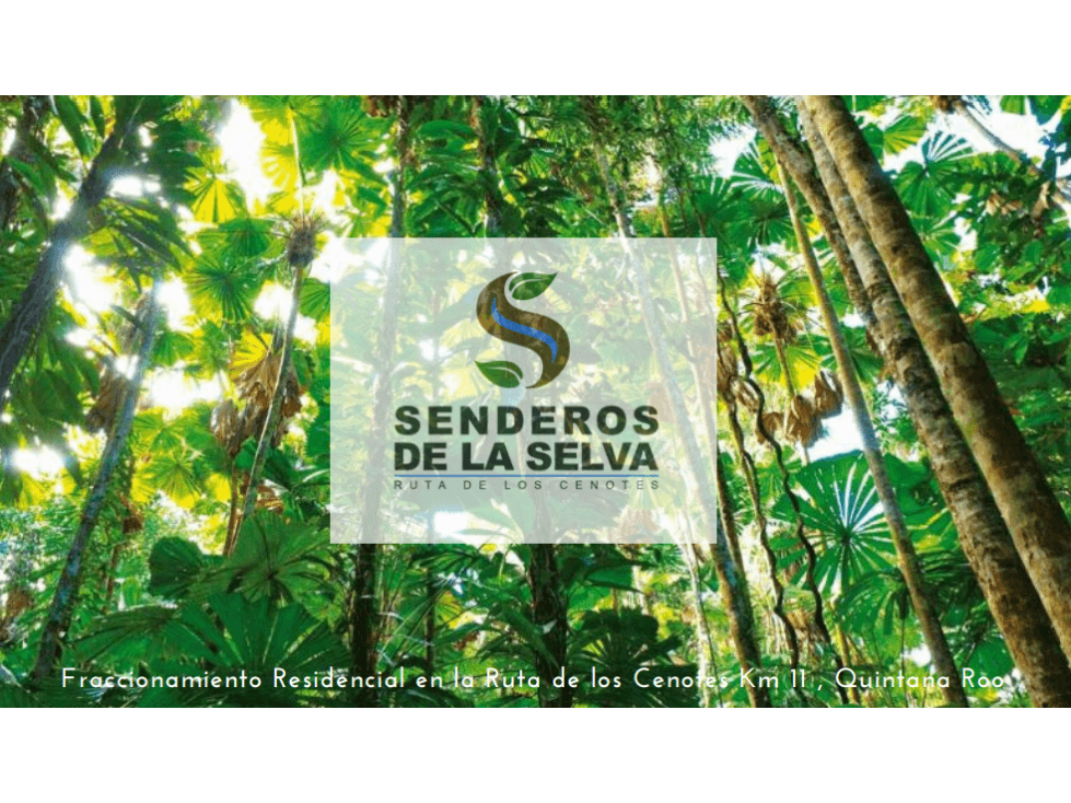 Nuevo Proyecto Oportunidad Senderos de la Selva — foto 1
