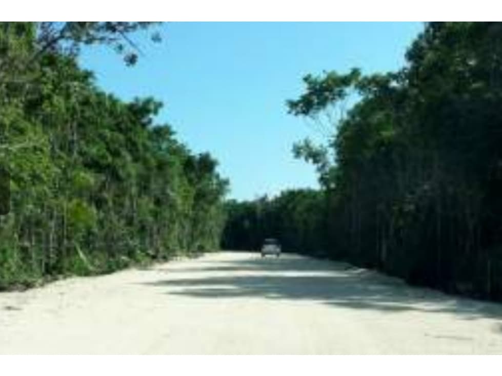 Terreno en venta en Senderos Mayacoba — foto 3