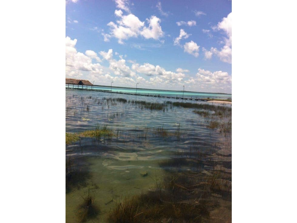 VENTA TERRENOS EN BACALAR — foto 3