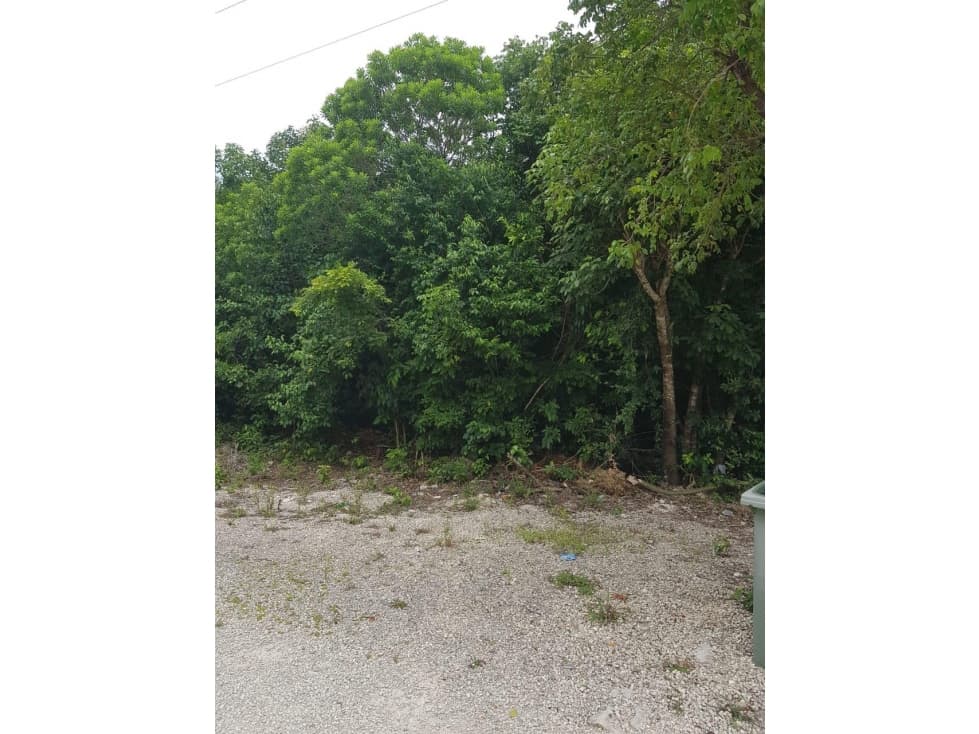 TERRENO EN VENTA EXCELENTE UBICACION — foto 4