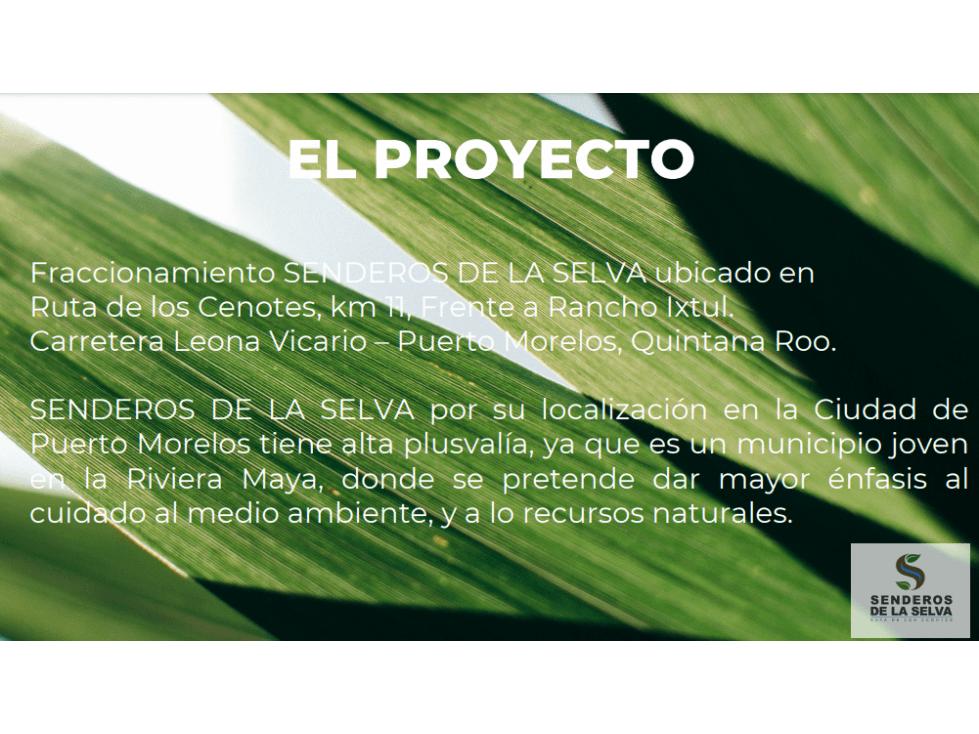 Nuevo Proyecto Oportunidad Senderos de la Selva — foto 2